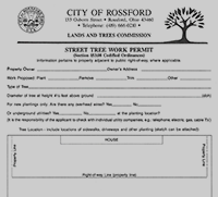 Street Tree Work Permit